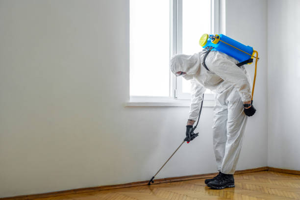Best Commercial Pest Control Services  in Turtle Creek, PA