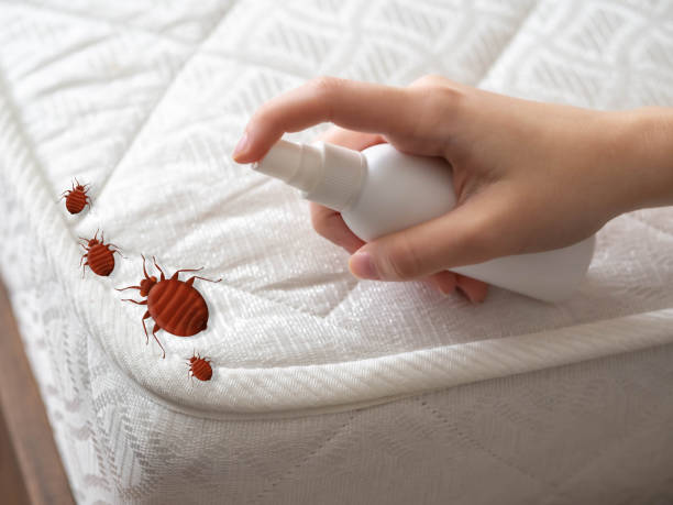 Best Bed Bug Extermination  in Turtle Creek, PA