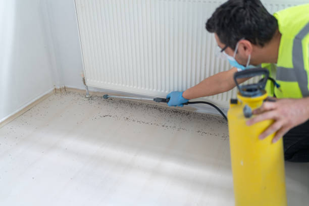 Best Pest Control for Homes  in Turtle Creek, PA